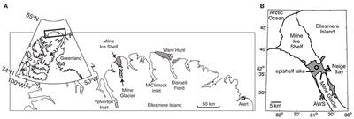 Microbial Community Structure and Interannual Change in the Last Epishelf Lake Ecosystem in the North Polar Region